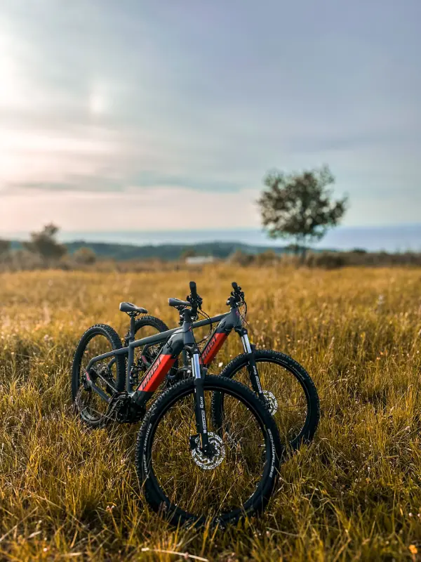 Bicycles available for guests at Villa Bellevue Portorož